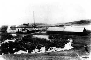 A View of the Laie Sugar Mill Photo courtesy of the Joseph F. Smith Library Archives and Special Collections, BYU Hawaii