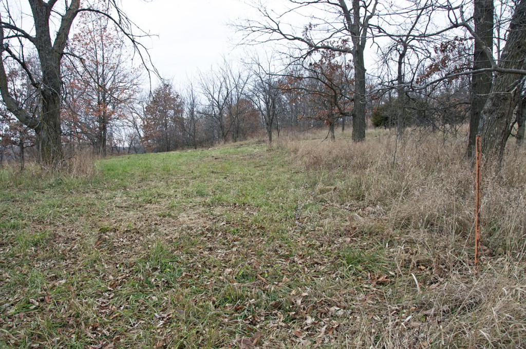 The first homesite of Lyman Wight, Adam-Tondi-Ahman. Photo by Kenneth Mays.