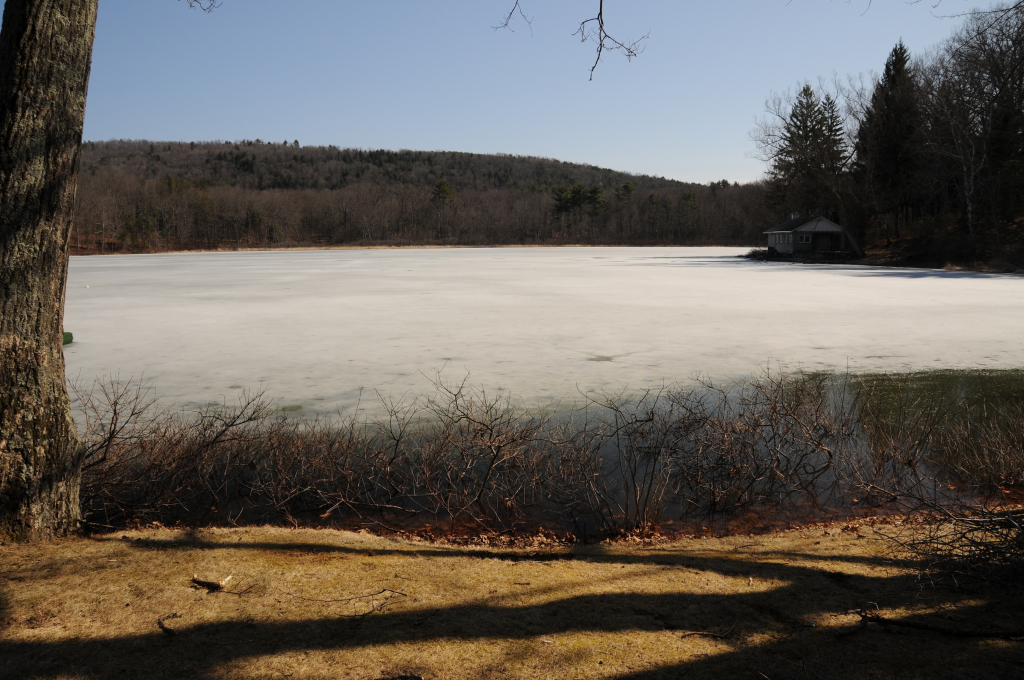 Pickerel Pond on what was once the Joseph Knight Sr. farm, Colesville, NY. Photo by Kenneth Mays