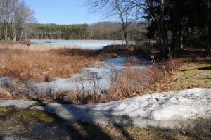 Pickerel Pond at the Joseph Knight farm site. Photo by Kenneth Mays.