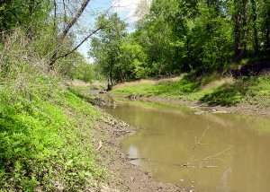 Shoal Creek at the site of Hawn's Mill, Caldwell County, Missouri. Photo (2003) by Kenneth Mays.