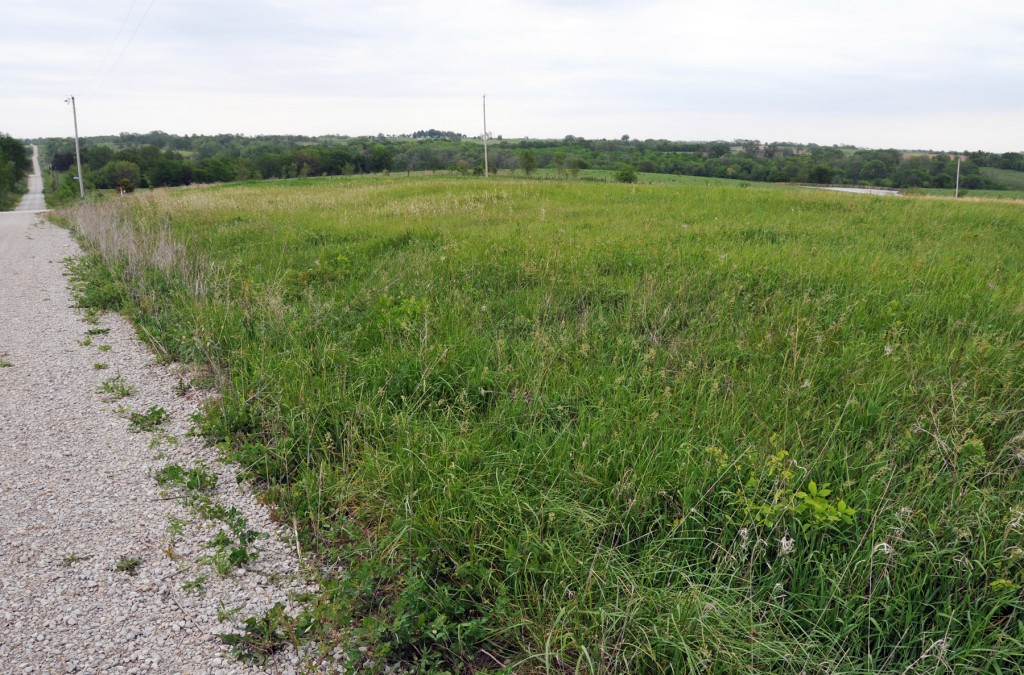 Far West, Caldwell County, Missouri Burial Ground