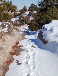 Wagon ruts at Guernsey, Wyoming