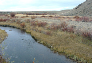 View of Rock Creek Hollow. Photo by Kenneth Mays.