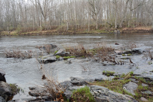 The Black River at Neillsville, Wisconsin.