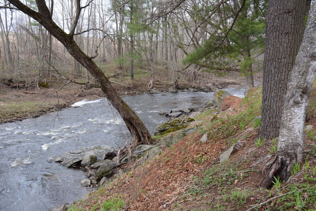 Cunningham Creek at Neillsville, Wisconsin.