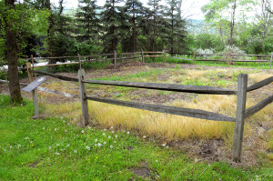 Home site of Isaac and Elizabeth Hale, Harmony, PA. Photo by Kenneth Mays.