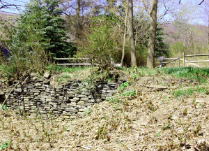 ome site of Isaac and Elizabeth Hale, Harmony, PA. Photo by Kenneth Mays.