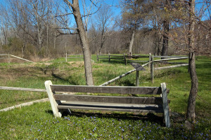 ome site of Isaac and Elizabeth Hale, Harmony, PA. Photo by Kenneth Mays.