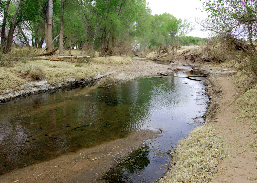 San Pedro River just north of the U.S. border with Mexico. Photo by Kenneth Mays.