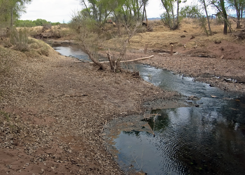 San Pedro River just north of the U.S. border with Mexico. Photo by Kenneth Mays.