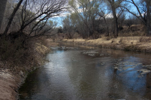 San Pedro River just north of the U.S. border with Mexico. Photo by Kenneth Mays.