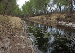 San Pedro River just north of the U.S. border with Mexico. Photo by Kenneth Mays.