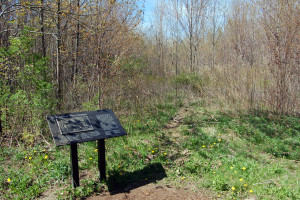 Interpretive sign at Palmyra, New York noting the Eight Witnesses. Photo by Kenneth Mays.