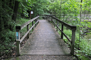 Boardwalk at the Stannard stone quarry. Photo by Kenneth Mays.
