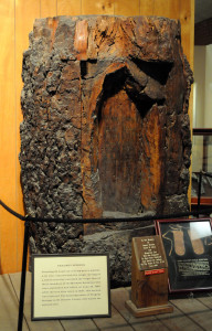 The names of the murdered scouts were carved into this tree trunk. Photo (2010) by Kenneth Mays.