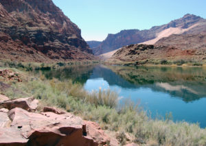The Colorado River at the site of Lee's Ferry. Photo by Kenneth Mays.