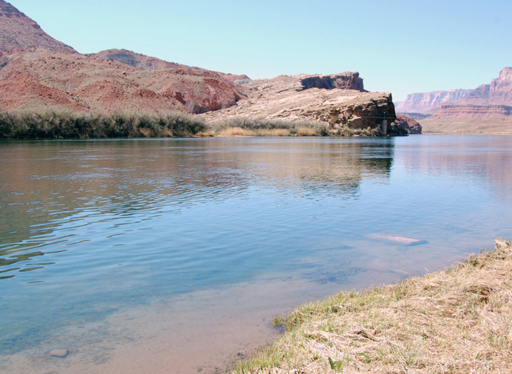 The Colorado River at the site of Lee's Ferry. Photo by Kenneth Mays.