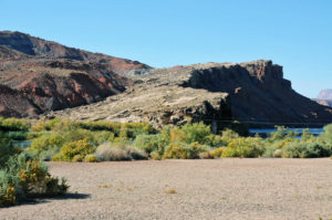 The Colorado River at the site of Lee's Ferry. Photo by Kenneth Mays.