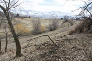 View of Whitney, Idaho from the cemetery. Photo by Kenneth Mays.