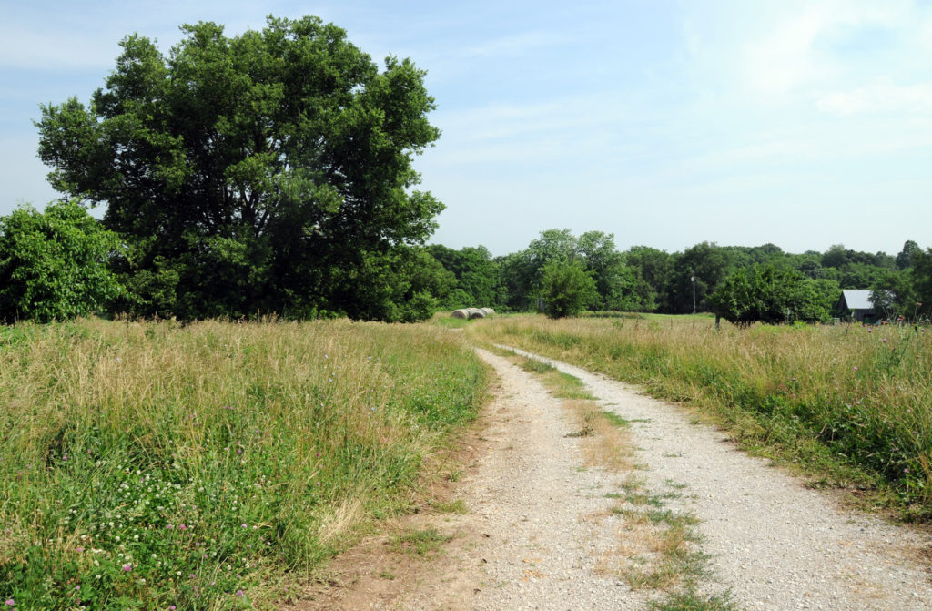 Site of the Michael Arthur farm, Clay County. MO. Photo by Kenneth Mays.