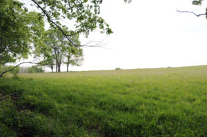 Site of the Michael Arthur farm, Clay County. MO. Photo by Kenneth Mays.