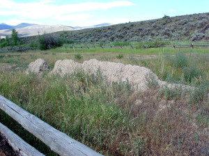 Remaining section of an original wall of Fort Lemhi. Photo by Kenneth Mays.