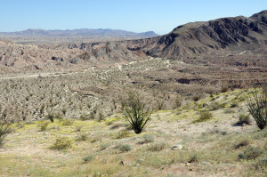 Anza-Borrego Desert State Park. Photo by Kenneth Mays.