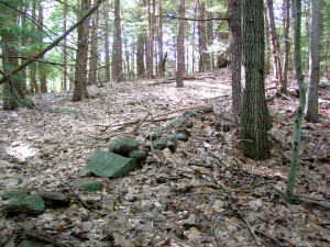 Approximate site where Lucy Mack Smith was born. Photo by Kenneth Mays.